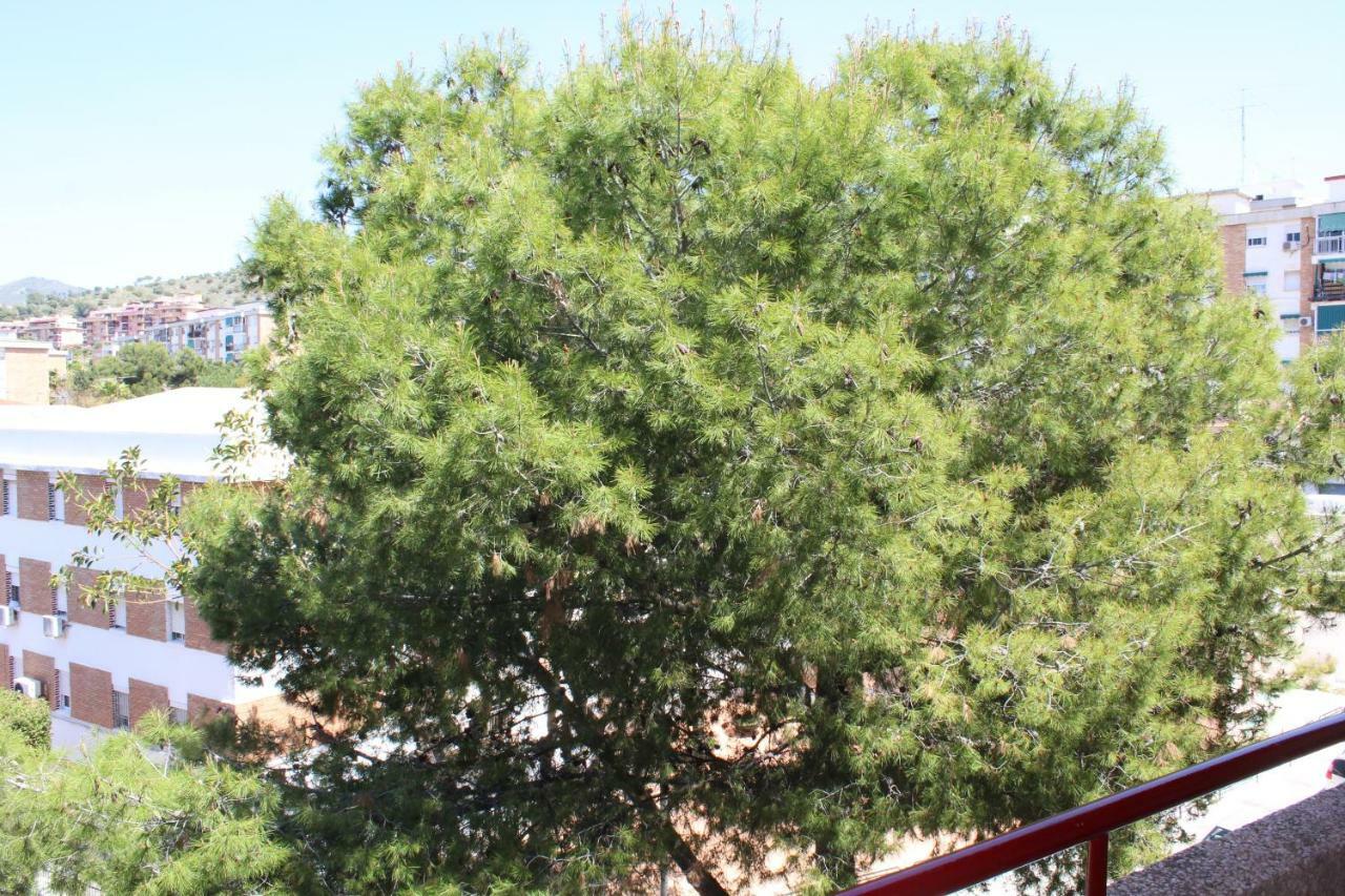 Apartamento Con Parking Gratuito Malaga Ngoại thất bức ảnh